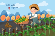 中国农民丰收节玉米横版插画素材