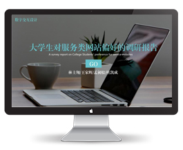 调查报告PPT模板