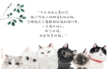 猫咪插画明信片